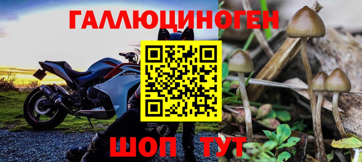 Псилоцибиновые грибы мухоморы  Псилоцибиновые грибы GOLDEN TEACHER  цена   Вход с VPN  Удомля 